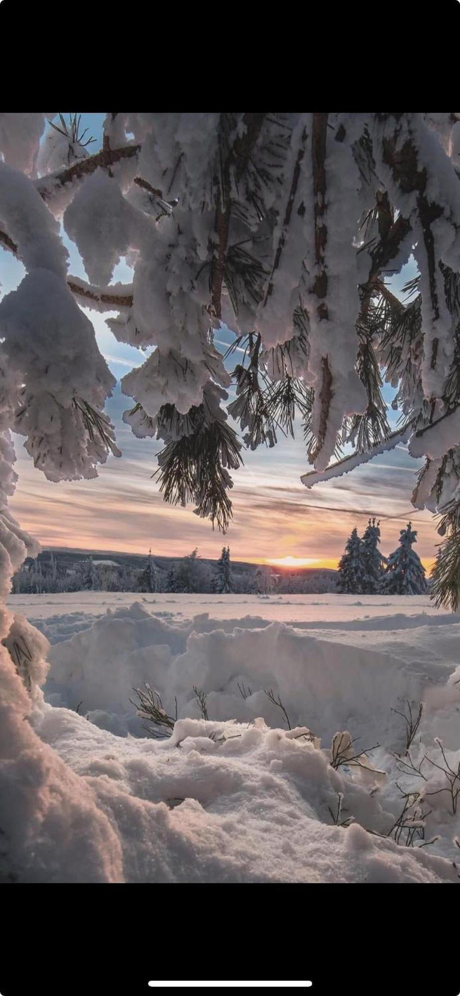 Haus Konthe, Appartement Winterberg Dış mekan fotoğraf