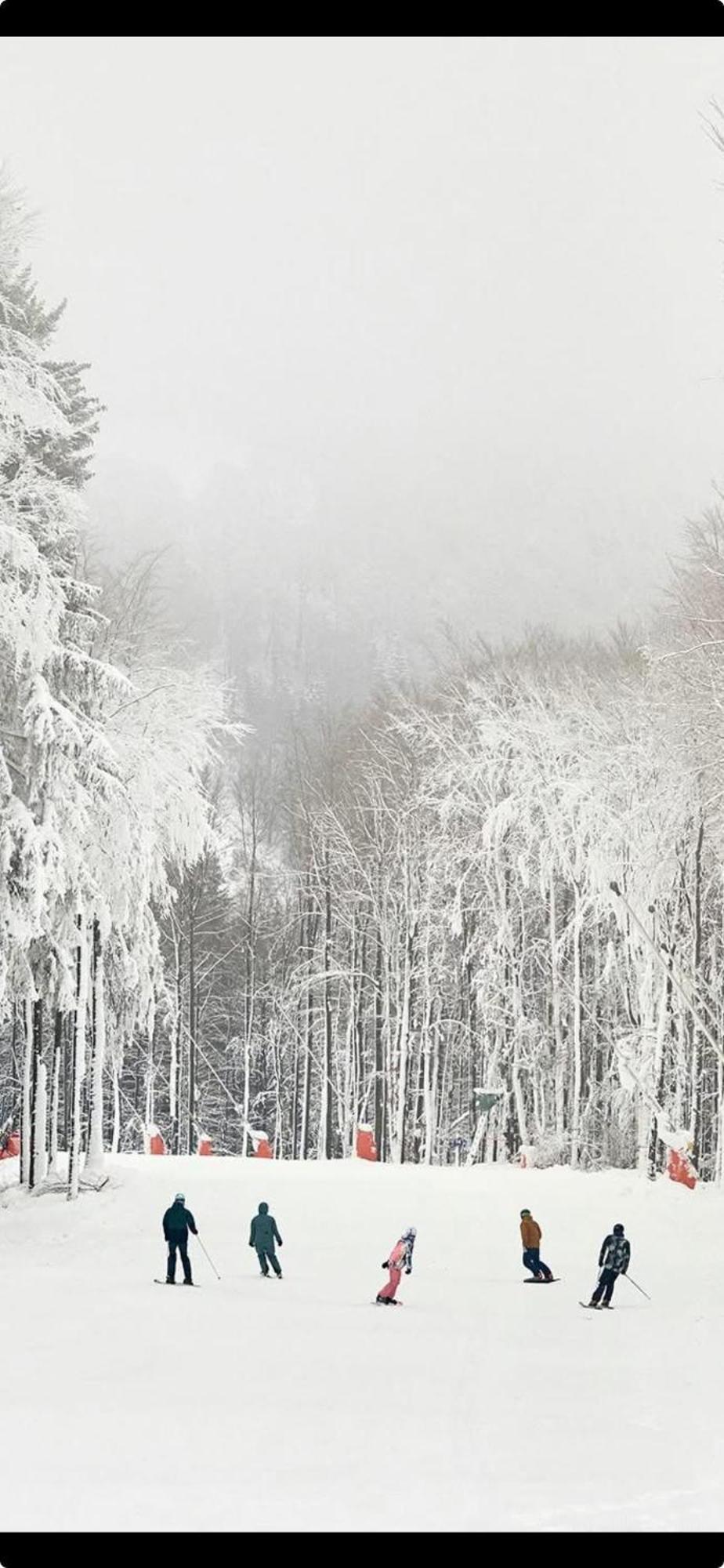 Haus Konthe, Appartement Winterberg Dış mekan fotoğraf